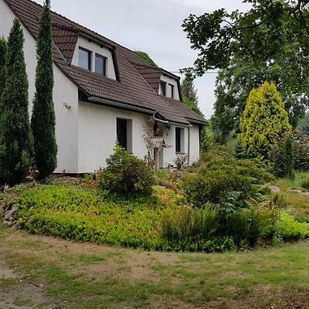 Ferienwohnung "Waldfrieden" Altdobern Экстерьер фото